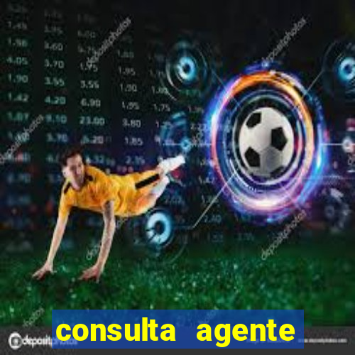 consulta agente autuador sp